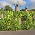 Maison Au Cœur Des Vignes