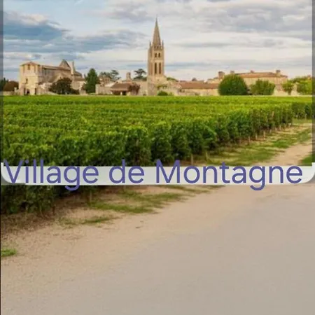 Maison Au Coeur Des Vignes 別荘