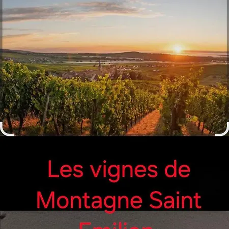 別荘 Maison Au Coeur Des Vignes *