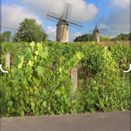 Maison Au Coeur Des Vignes