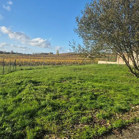 別荘 Maison Au Coeur Des Vignes