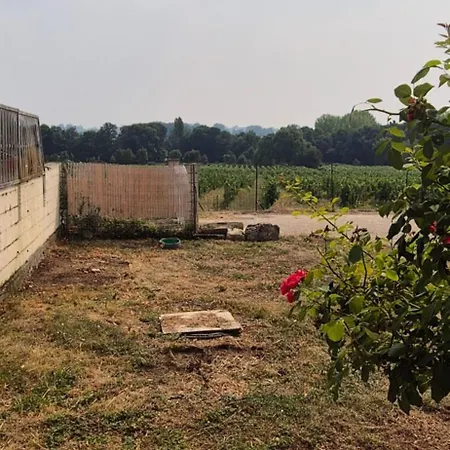 Maison Au Coeur Des Vignes 別荘 *
